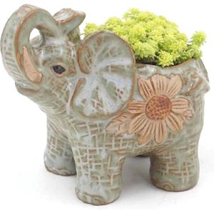 Keramische olifant pot - Cactussen en succulenten - Mini tuin - Wit - Keramiek - 12 cm