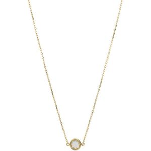 Lucardi Dames 14 karaat geelgouden ketting met birthstone hanger November - Ketting - 14 Karaat Goud - Goud - 45 cm