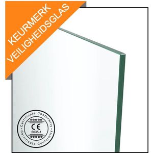 WOON-DISCOUNTER.NL - WOON-DISCOUNTER.NL - Göteborg 50x200cm - 8mm - Inloopdouche - - Nano coating - Easy Clean - Douchewand - 101050 - - 101050