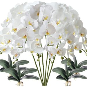 6 stuks Phalaenopsis kunstorchideeën, bloemen, wit, met 4 bundels kunst orchideemessen als decoratie