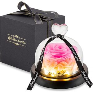 Equivera Eeuwige Roos in Koepel - Roze - LED licht - Met Geschenkdoos - Romantisch - Valentijn - Moederdag - Perfect Cadeau