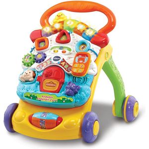 Driewieler Vtech Multicolour (9+ maanden) (Es)