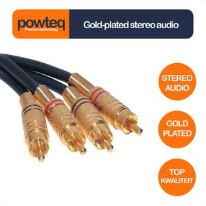 Powteq Premium - Gold-plated - 10 meter - 2 x RCA/Tulp - Composiet audio - Stereo audio - Professioneel