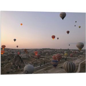 WallClassics - Vlag - Luchtballonnen boven Bergachtig Landschap - 80x60 cm Foto op Polyester Vlag