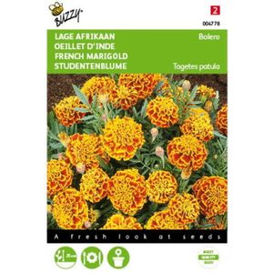2 stuks - Buzzy - Tagetes patula nana Bolero