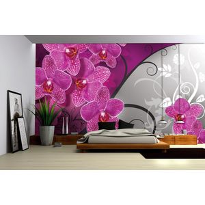 Flowers Floral Orchids Pattern Photo Wallcovering