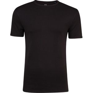 WE Fashion Heren T-shirt van biologisch katoen - Maat XL