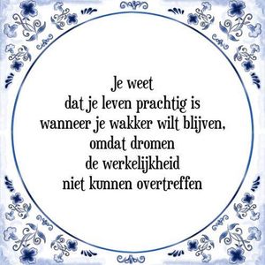 Tegeltje met Spreuk (Tegeltjeswijsheid): Je weet dat je leven prachtig is wanneer je wakker wilt blijven, omdat dromen de werkelijkheid niet kunnen overtreffen + Kado verpakking & Plakhanger