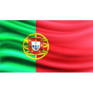 Partychimp Portugese Vlag Portugal - 90x150 Cm - Polyester - Groen/Rood/Geel