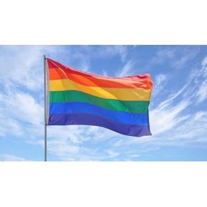 CHPN - Vlag - Regenboogvlag - Pride vlag - Rainbow flag - Pride - LHTBI - Trots - 150/90CM