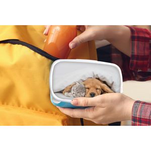 Broodtrommel Blauw - Lunchbox - Brooddoos - huisdieren - hond - Kat - Deken - 18x12x6 cm - Kinderen - Jongen