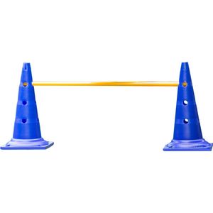 De-Tail Agility horde 2 pylonen met springstok 51 x100 cm.