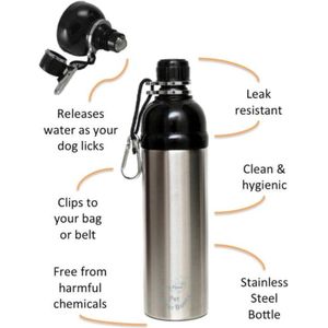 Pet Water Bottle Silver 750ml