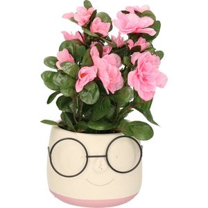 Dijk Natural Collections Bloempot/plantenpot gezicht met brilletje - wit/lichtroze - voor kamerplant - D13 x H10 cm
