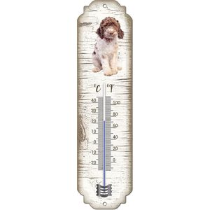 Thermometer: Lagotto Romagnolo | Hondenras | Temperatuur binnen en buiten | -25 tot +45C