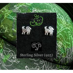 Horoscoop Teken Oorstekers - Sterling Zilver 925 - Ram (4) - Casual Feest - Unisex - Kinderen Jeugd Volwassenen