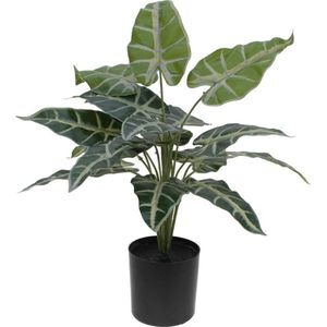 EUROPALMS  Kunstplant voor binnen en buiten - Caladium plant in pot - 38cm