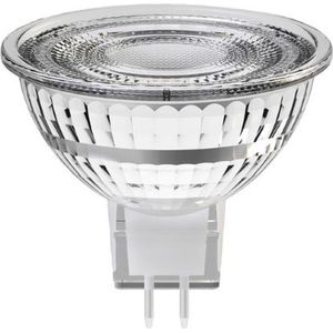 Tekalux Jairo Led-lamp - GU5.3 - 2700K Warm wit licht - 5 Watt - Dimbaar