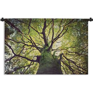 Wandkleed Kalm - Kalmerende takken van een groene boom Wandkleed katoen 180x120 cm - Wandtapijt met foto XXL / Groot formaat!