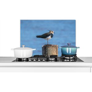 Spatscherm keuken 70x50 cm - Kookplaat achterwand Vogel - Dieren - Paal - Blauw - Kievit - Muurbeschermer - Spatwand fornuis - Hoogwaardig aluminium