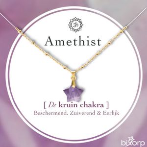 Bixorp Gems Amethist Kruin Chakra Ketting met Sterretje - 18 Karaat Verguld Goud & Roestvrij Staal - 36cm + 8cm verstelbaar