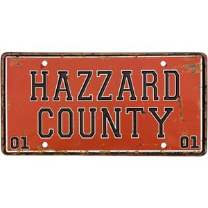 Signs-USA - Souvenir kentekenplaat nummerbord Amerika - verweerd - 30,5 x 15,3 cm - Hazard County