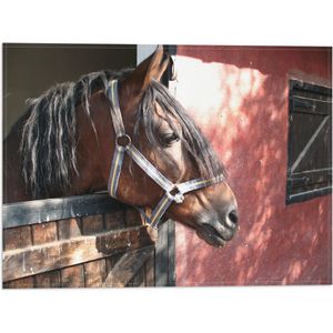 WallClassics - Vlag - Paard bij Staldeur - 40x30 cm Foto op Polyester Vlag