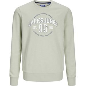 JACK & JONES JUNIOR Sweater JJMINDS met Logo Licht Saliegroen