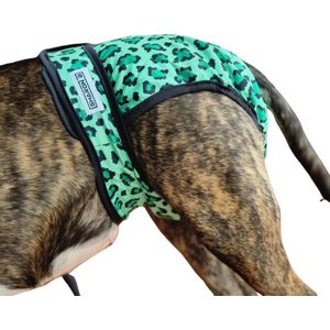Sharon B - Loopsheidbroekje leopard groen maat XXL - Bij loopsheid, incontinentie bij teefjes - Hondenluier - Taille 69-80 cm - Voor honden