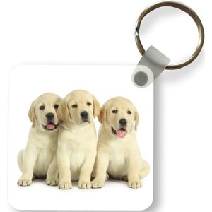 Sleutelhanger - Uitdeelcadeautjes - Schattige Labrador Retriever puppy's - Plastic