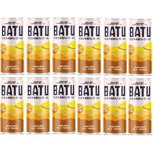 Batu Kombucha ginger & lemon 25 cl per blik, tray 12 blikken