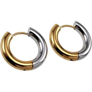 ∅20mm x 4mm Oorbellen Unisex - Gepolijst Goud/Zilver Kleur RVS - Bicolor Oorrigen