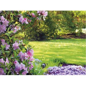 Siertuincompost aarde 40 liter