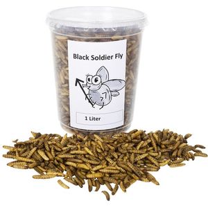 Black soldier fly - 3 X 1 Liter - tuindieren - Animal King