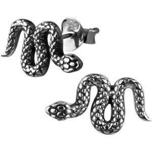 Zilveren oorbellen | Oorstekers | Zilveren oorstekers, slangen