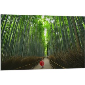 WallClassics - Vlag - Bamboe Bomen met Japanse Paraplu - 105x70 cm Foto op Polyester Vlag