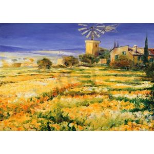 Kunstdruk Christian Sommer - Sommer auf Mallorca 100x70cm