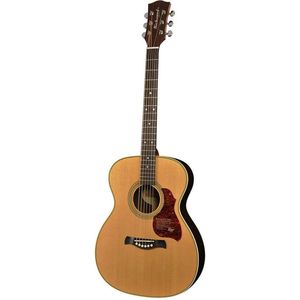 Akoestische gitaar Richwood Master Series Auditorium OOO A-65-VA