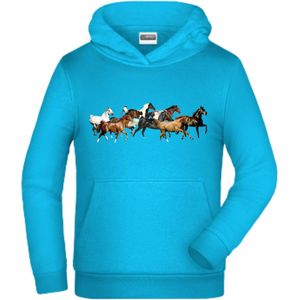 Blauwe hoodie met paarden -James & Nicholson-98/104-Hoodie meisjes