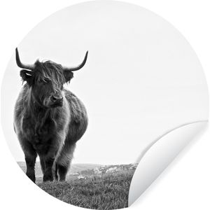 Behangcirkel - Zelfklevend behang - Dieren - Schotse hooglander - Koe - Gras - Natuur - ⌀ 30 cm - Behang zelfklevend - Cirkel behang - Ronde wanddecoratie