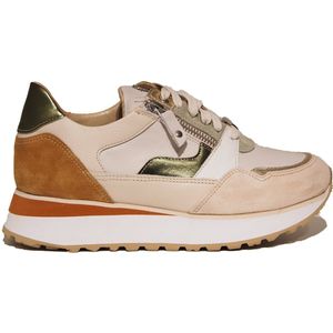 Footnotes Elke Beige