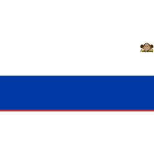 Partychimp Russische Vlag Rusland - 90x150 Cm - Polyester - Wit/Blauw/Rood