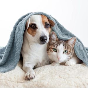 huisdierdeken voor hond of kat, zachte afwerking, zware winterdeken, fleece deken gezellig kattenbed, 100x120 cm