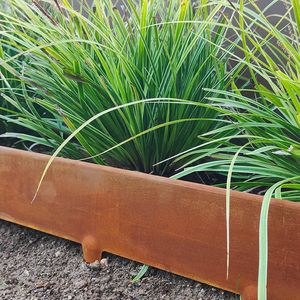 RORI - Cortenstaal Borderrand - Tuinafboording EXTRA hoog (23 cm) - Perkrand 1 METER - Afgeronde Bovenkant