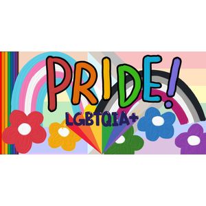 LGBTQIA+ Pride Spandoek 150x300cm