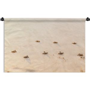 Wandkleed Schildpad - Baby schildpadden fotoprint Wandkleed katoen 180x120 cm - Wandtapijt met foto XXL / Groot formaat!