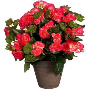 Mica Decorations Kunstplant - begonia - donker roze - in pot - 37 cm - nepplanten