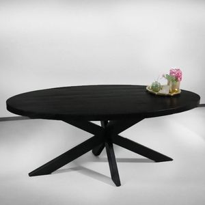 Eettafel ovaal mangohout 200cm James zwart ovale industriële tafel duurzaam mango eetkamertafel