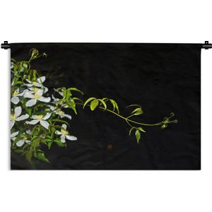 Wandkleed Planten op een zwarte achtergrond - Een kruipende tak van witte clematis op een zwarte achtergrond Wandkleed katoen 120x80 cm - Wandtapijt met foto