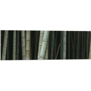 WallClassics - Vlag - Groen met Grijs Bamboe Bos - 90x30 cm Foto op Polyester Vlag